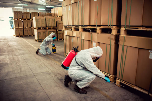 Best Best Pest Control Companies  in Ozona, TX