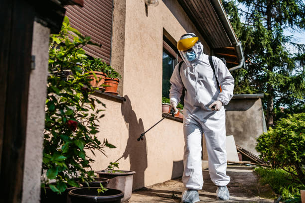 Best Mosquito Control Services  in Ozona, TX