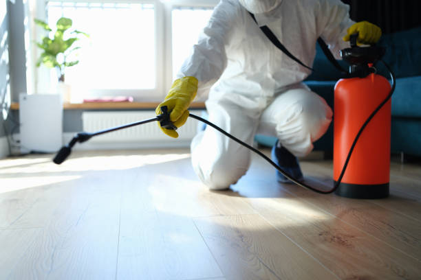 Professional Pest Control in Ozona, TX