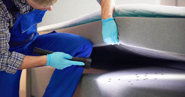 Best Pest Inspection Near Me  in Ozona, TX