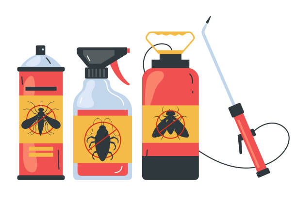 Best Insect Control  in Ozona, TX